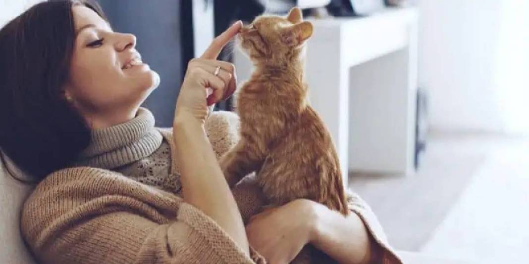 Kedinizin sizi ne kadar sevdiğini test etmek ister misiniz? ‘Evet’ cevabınız 1 mi 9 mu? Bu davranışlar sevgisinin göstergesi 8